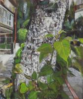 Bark and Shoots